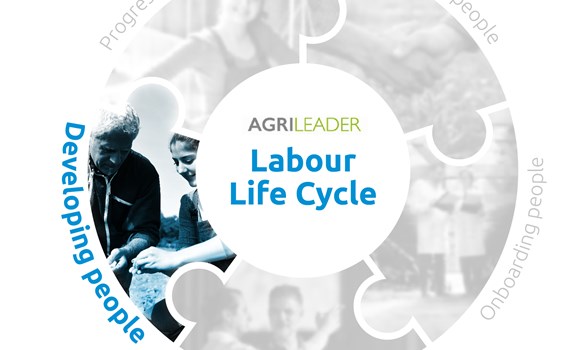 Labour Life Cycle Developing people piece